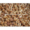 2015 hot sale IQF frozen nameko market prices for mushroom